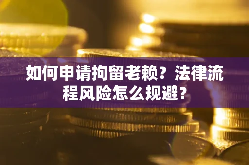 武汉如何申请拘留老赖？法律流程风险怎么规避？