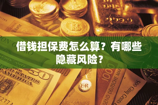 武汉借钱担保费怎么算？有哪些隐藏风险？