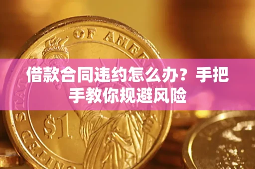 武汉借款合同违约怎么办？手把手教你规避风险