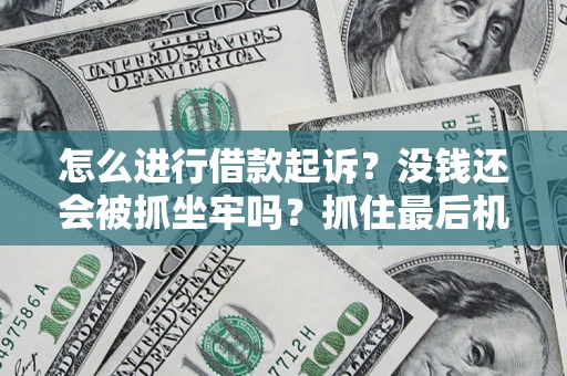 武汉怎么进行借款起诉？没钱还会被抓坐牢吗？抓住最后机会！