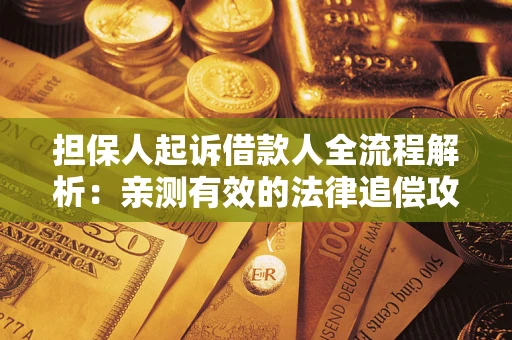 武汉担保人起诉借款人全流程解析：亲测有效的法律追偿攻略