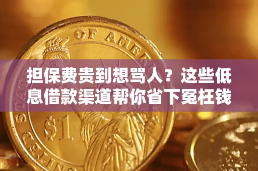 武汉担保费贵到想骂人？这些低息借款渠道帮你省下冤枉钱