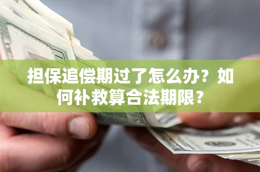武汉担保追偿期过了怎么办？如何补救算合法期限？