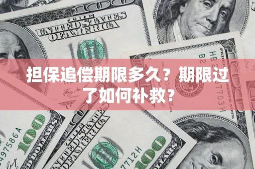 武汉担保追偿期限多久？期限过了如何补救？
