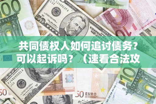武汉共同债权人如何追讨债务？可以起诉吗？（速看合法攻略）