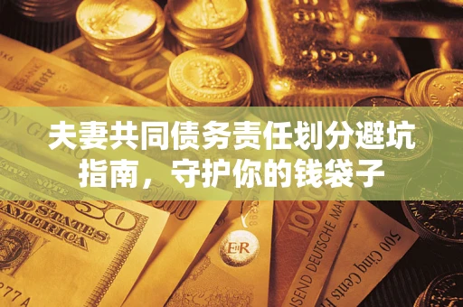 武汉夫妻共同债务责任划分避坑指南，守护你的钱袋子