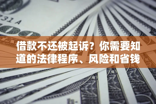 武汉借款不还被起诉？你需要知道的法律程序、风险和省钱技巧