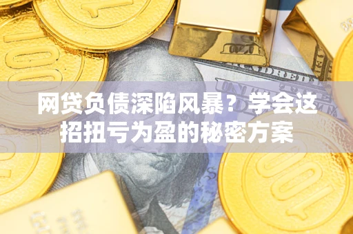 武汉网贷负债深陷风暴？学会这招扭亏为盈的秘密方案